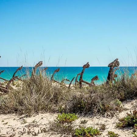 Pedras D'el Rei * Tavira
