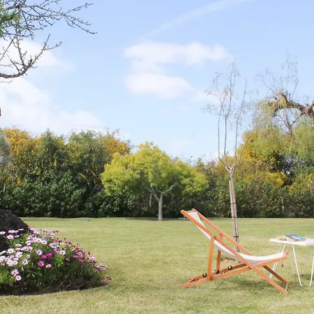 فيلة Pedras D'el Rei