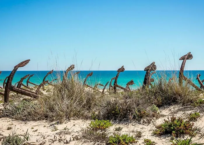 Pedras D'el Rei * 타비라